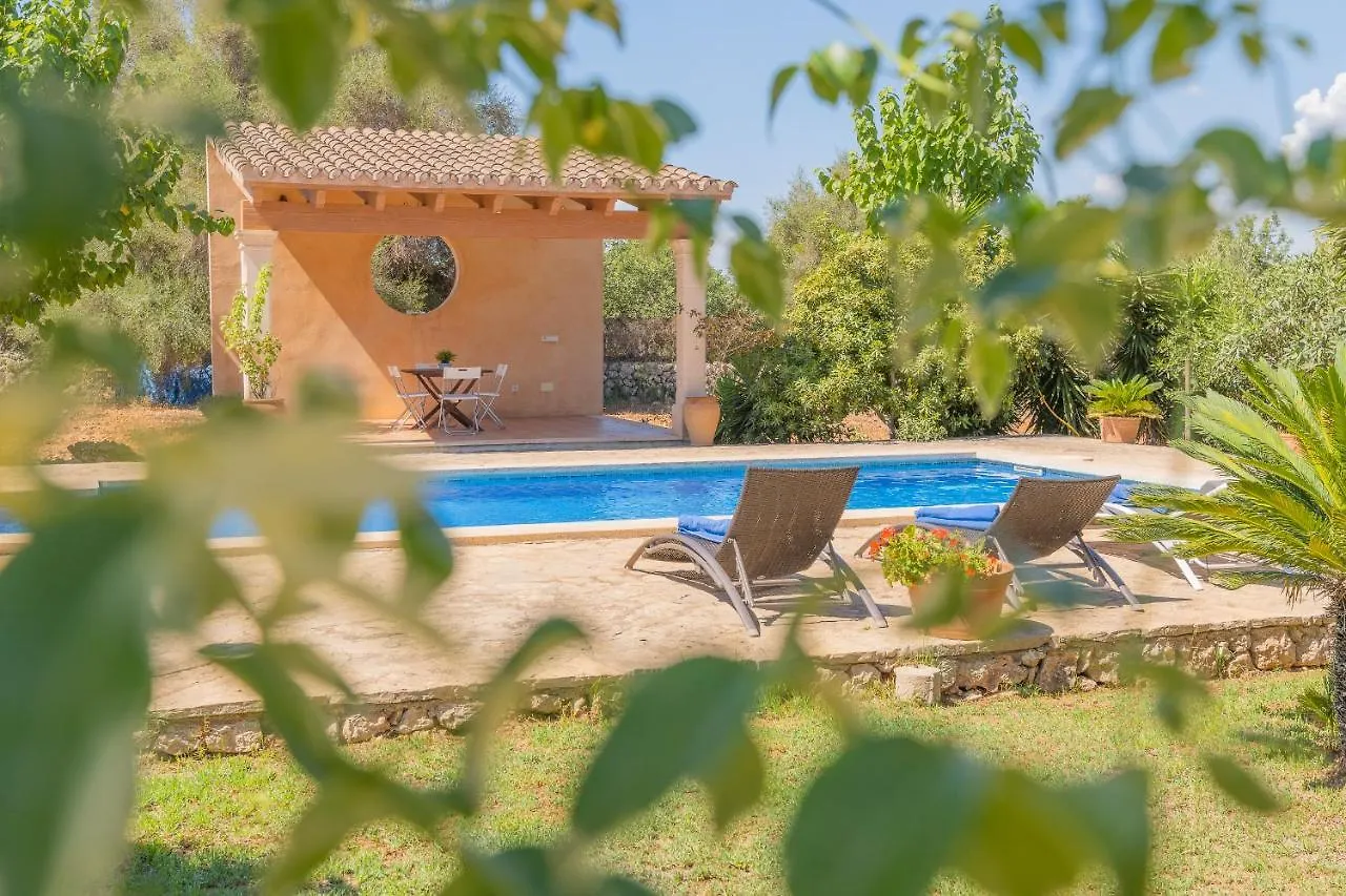 Villa Can Llinas سينييس